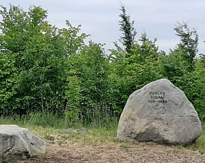 Blick zum Gedenkstein mit der Inschrift Dollan 1503-1989 umgeben von grünen Sträuchern und weiteren kleineren Findlingen.