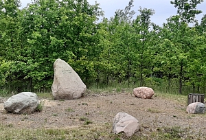 Blick zum Gedenkstein mit der Inschrift Michholz 1503 - 1989 