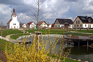 Blick durch die Forsytie über den Dorfteich zur Hornoer Kirche.