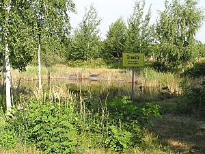 Blick in das Tranitzer Biotop mit altem Tranitzer Ortseingangsschild